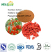 Goji Berry Extract powder wolfberry extract powder Polysaccharides 40% 50% 60% UV