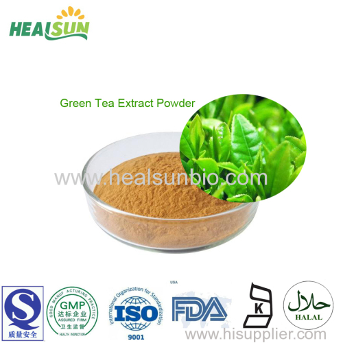 Tea Polyphenols 50% TO 98% HPLC