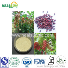 Schisandra Extract Powder Schisandrins 2% to 9%