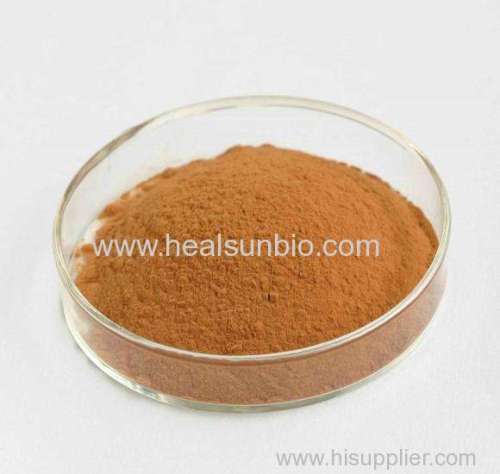 Green Tea Extract Powder  L-Theanine 20% ~60% HPLC