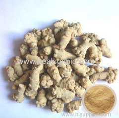 Panax Notoginseng Root Extract