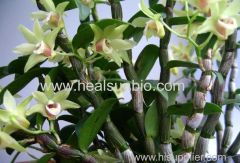 Dendrobium candidum powder 80Mesh~200Mesh