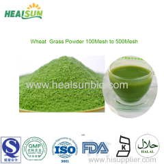 Wheat Grass Powder green food barley grass powder alfafa grass powder nature diet food supplement