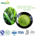 Matcha Powder Green Tea powder