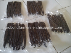 Premium Grade A Vanilla Beans