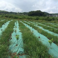 NEW Agriculture nonwoven double layer weed barrier high quality landscape fabric for weed control weed barrier fabric