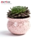 ODM & OEM Handicraft Customized Ceramic Macaron Pattern Indoor Flower Pot wholesale