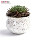 ODM & OEM Handicraft Customized Ceramic Macaron Pattern Indoor Flower Pot wholesale