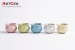 ODM & OEM Handicraft Customized Ceramic Macaron Pattern Indoor Flower Pot wholesale