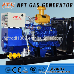 NPT gas generator biogas generator(100kw)