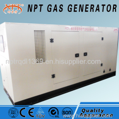 NPT gas generator biogas generator(100kw)