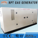 NPT gas generator biogas generator(100kw)
