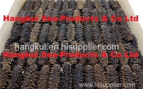 Dried Spiky Sea Cucumbers