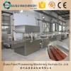 600mm Width Chocolate Enrober Coating Machine Made In China