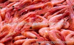 wholesale seafood dried fresh water baby shrimp frozen dry shrimp