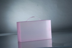Transparent Plastic Shoe Boxes with Handle