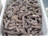 Highest quality healthy dried sea cucumber for sale