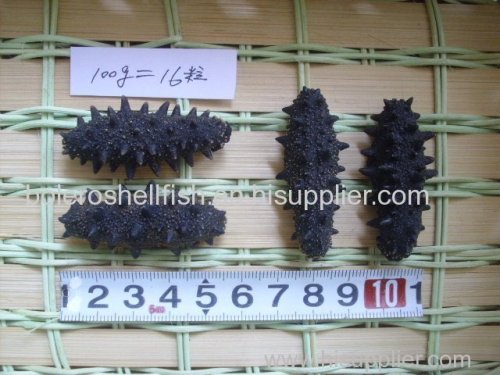 Wild Canadian Arctic Dried Sea Cucumber