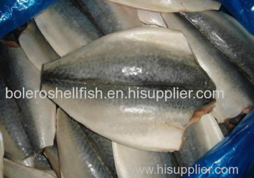 FROZEN PACIFIC MACKEREL FISH SEAFROZEN 200-300G