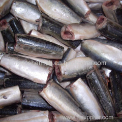Cheap Frozen Seafood Fish Pacific Mackerel Saba On Sale