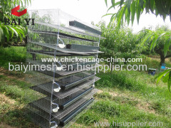 Quail Cages for Sale in Philippines