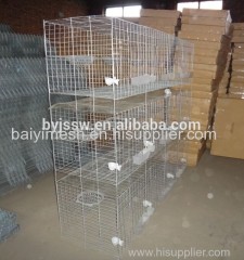 H Type Pigeon Cage Hot Sale in Saudi Arabia Market