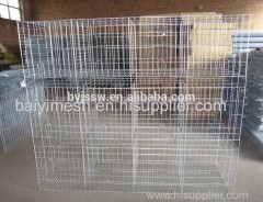 H Type Pigeon Cage Hot Sale in Saudi Arabia Market