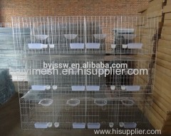 H Type Pigeon Cage Hot Sale in Saudi Arabia Market