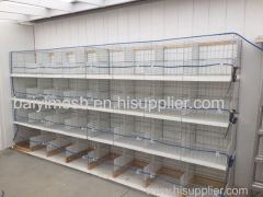 H Type Pigeon Cage Hot Sale in Saudi Arabia Market