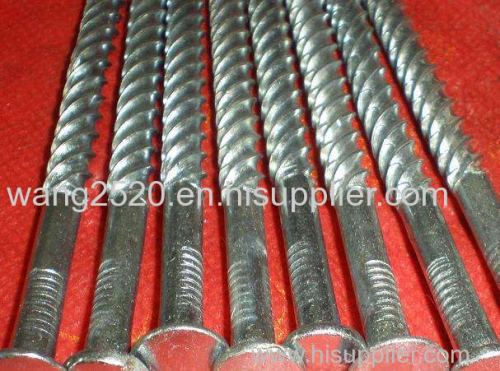 High quality galvanized cement nails