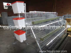 Poultry Cage for Layer Chicken Farm
