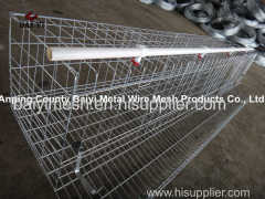 Poultry Cage for Layer Chicken Farm