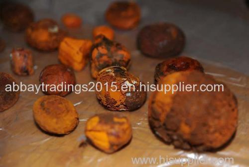 Cow Ox Gallstones For Sale