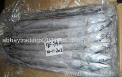 Frozen Ribbon Fish For Sale