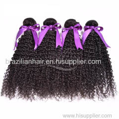 Brazilian Kinky Curly Human Hair