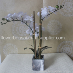 Home Furniture Artificial Phalaenopsis White flowers in marble ceramic pot for Homes/Hotels/Table decor