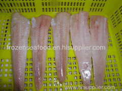 Pacific hake fillets (Merluccius productus) IQF