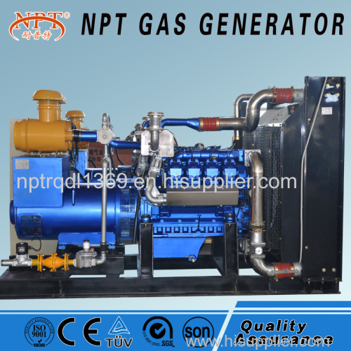 300kw NPT biogas generator