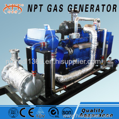 NPT biogas generator 60KW