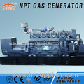 CE approved 800 kw generator sygas power generation