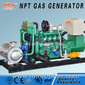 Silent 20kW generator methane to electricity