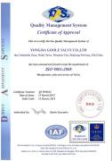 ISO 9001