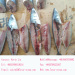 New arrival fresh mackerel fish