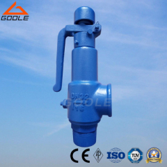 Spring loaded low lift type safety valve