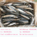 August 2017 Arrival Best Quality Fresh 200-250g Frozen North Pacific Frozen Mackerel Fish