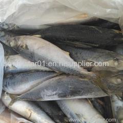 August 2017 Arrival Best Quality Fresh 200-250g Frozen North Pacific Frozen Mackerel Fish