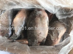 August 2017 New Arrival Best Quality Cheapest Fresh150-200g Whole Round Frozen Tilapia