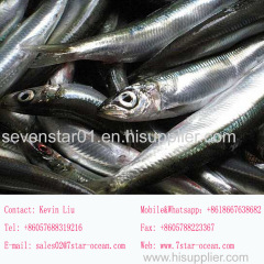 2017 New Arrival Fresh High Quality Frozen Sardine Fish