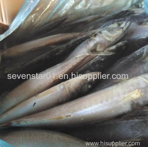 China Supplier Sell New Arrival Best Quality Cheapest Fresh Factory Price Sea Frozen Whole 250-350g Frozen Mackerel Fish