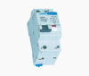 C60NLE Earth leakage circuit breaker with over current protection